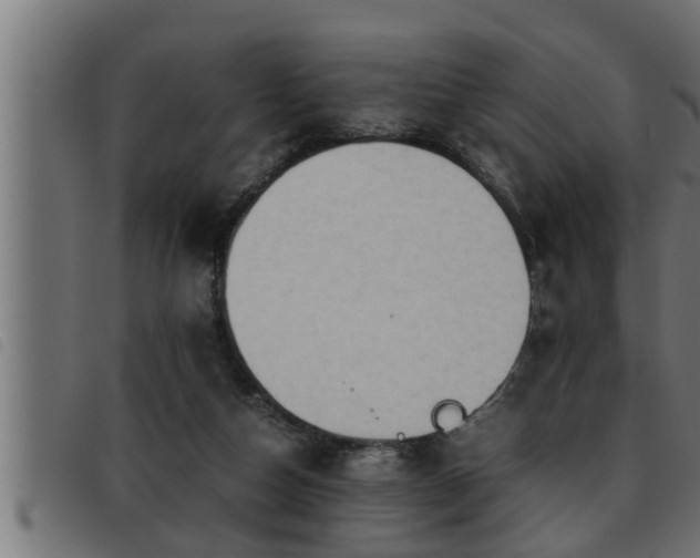 X0000093490162200710121514