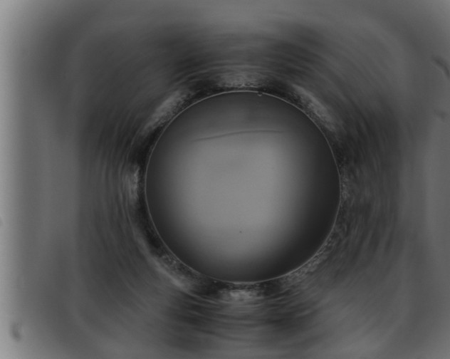 X0000093490163200710121514