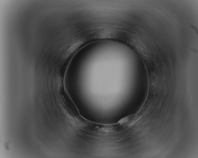 X0000093490164200710121514