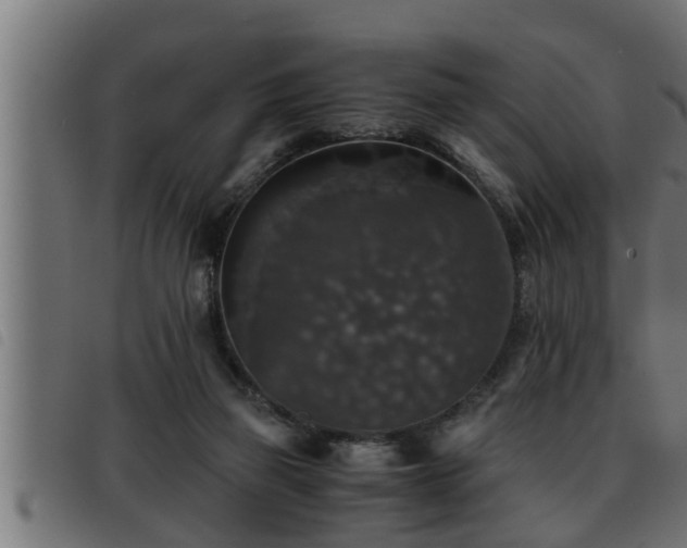 X0000093490165200710121514