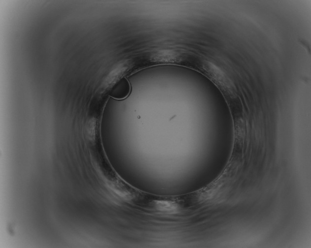 X0000093490167200710121514