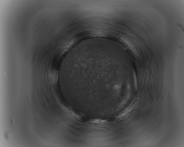 X0000093490168200710121514