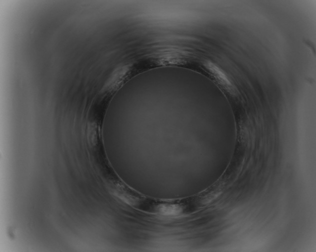 X0000093490169200710121514
