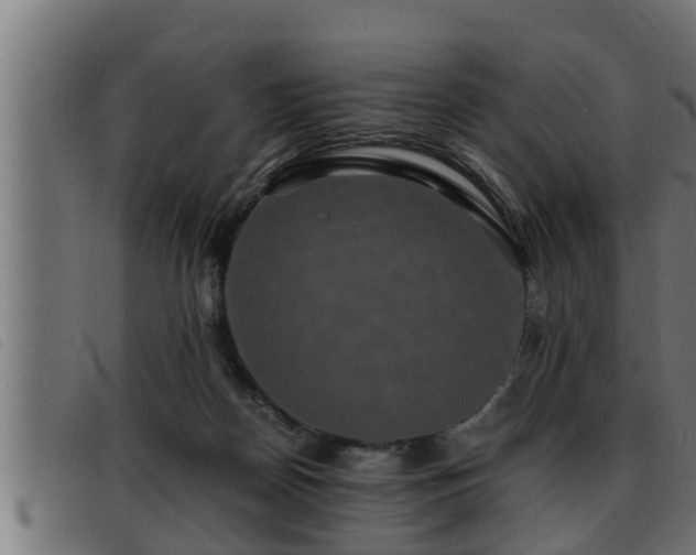 X0000093490170200710121514