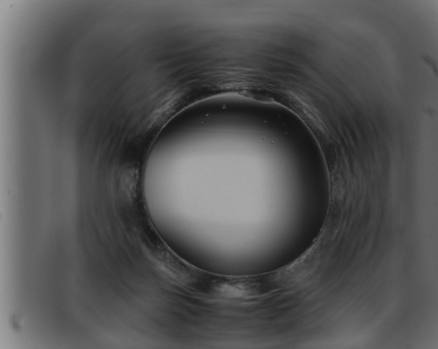 X0000093490171200710121514