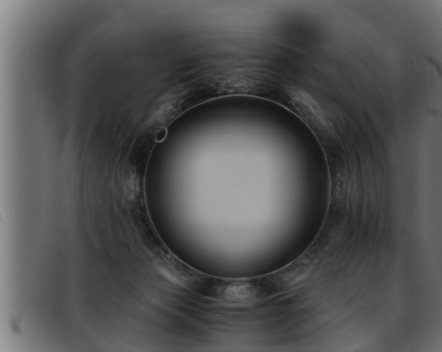 X0000093490173200710121514