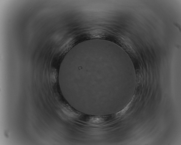 X0000093490174200710121514