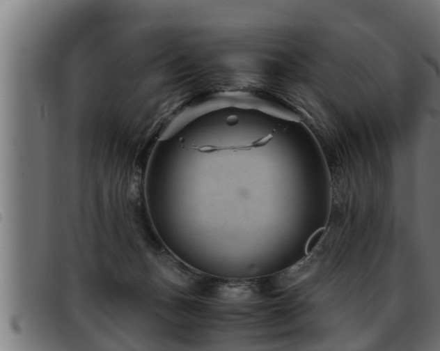 X0000093490175200710121514