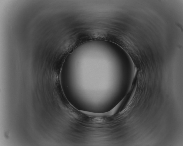 X0000093490176200710121514