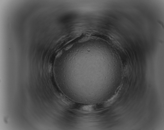 X0000093490178200710121514