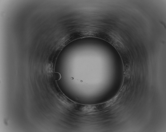 X0000093490179200710121514