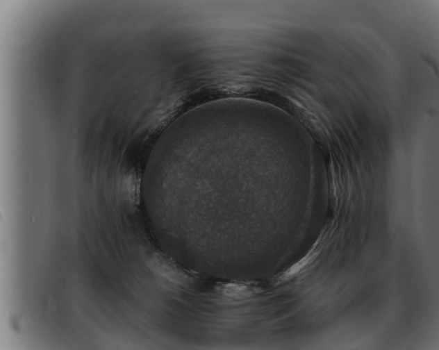 X0000093490180200710121514