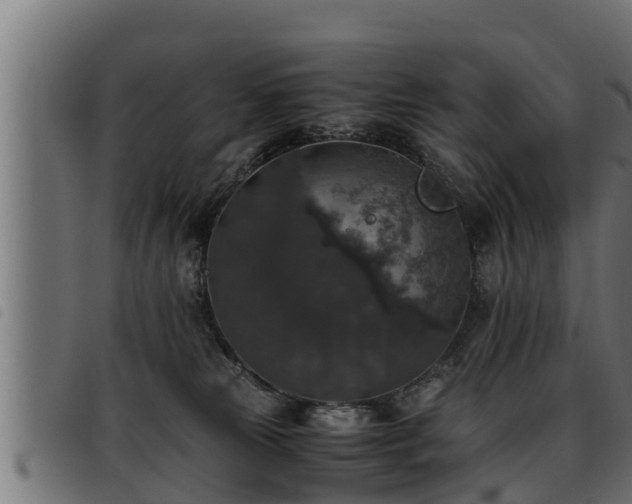 X0000093490181200710121514