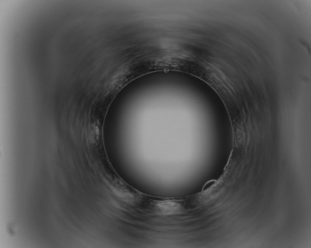 X0000093490183200710121514