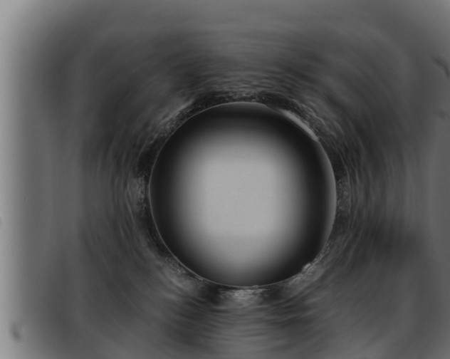X0000093490184200710121514