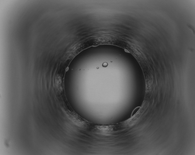 X0000093490187200710121514