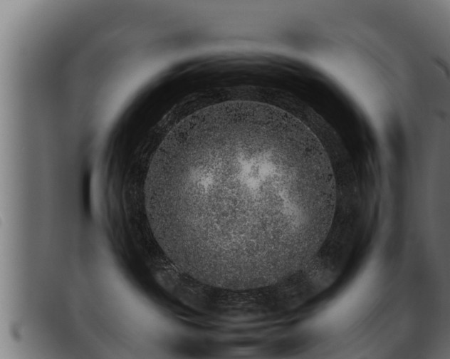 X0000093490189200710121514