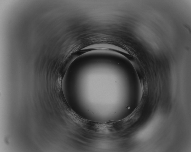 X0000093490190200710121514