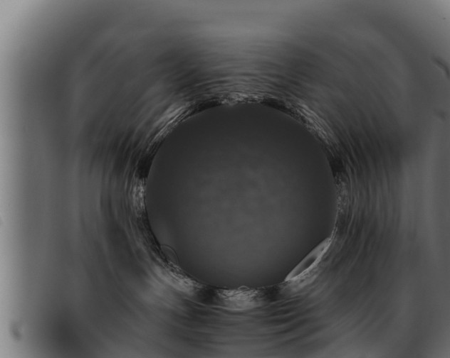 X0000093490191200710121514