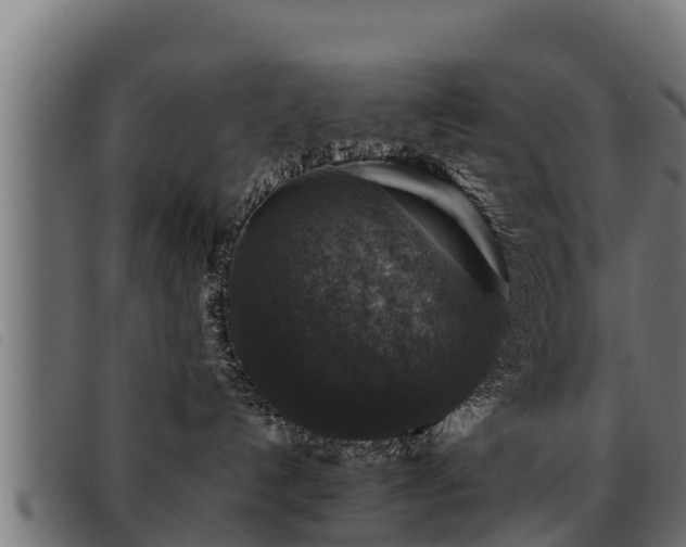 X0000093490192200710121514