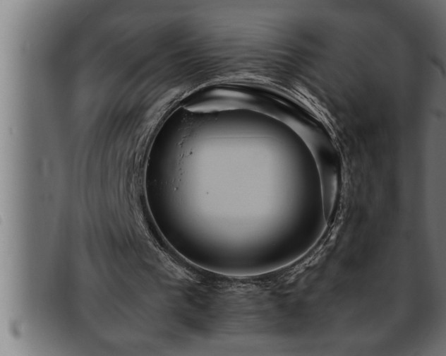 X0000093490193200710121514