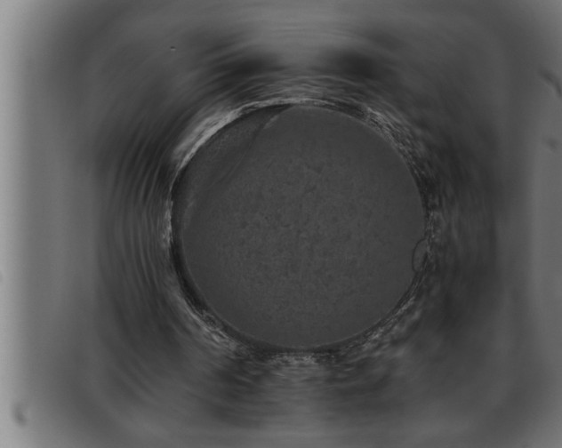 X0000093490194200710121514