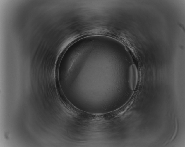X0000093490196200710121514