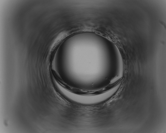 X0000093490197200710121514