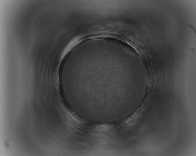 X0000093490198200710121514