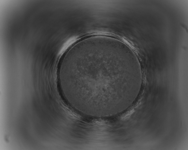 X0000093490199200710121514