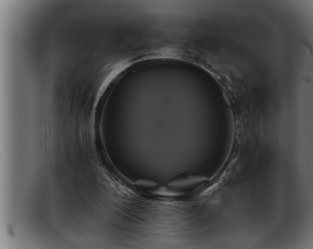 X0000093490200200710121514