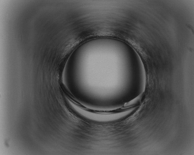 X0000093490201200710121514