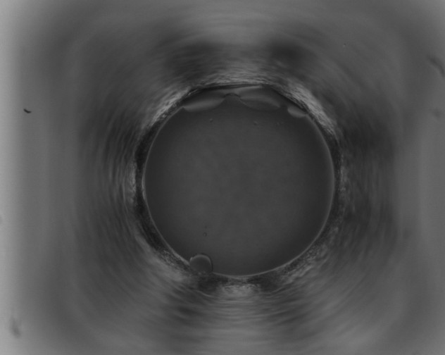 X0000093490202200710121514