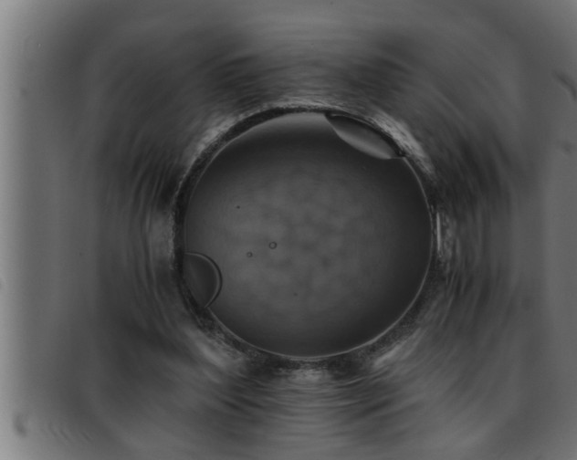 X0000093490204200710121513