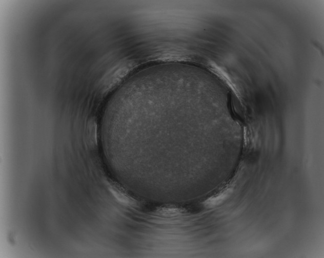 X0000093490205200710121513