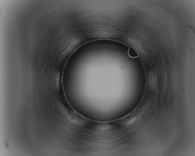 X0000093490206200710121513