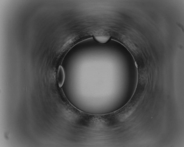 X0000093490207200710121513