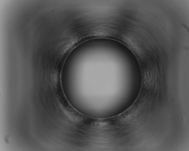 X0000093490208200710121513
