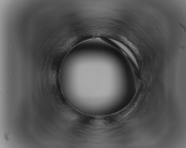X0000093490209200710121513