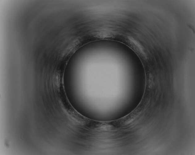 X0000093490210200710121513