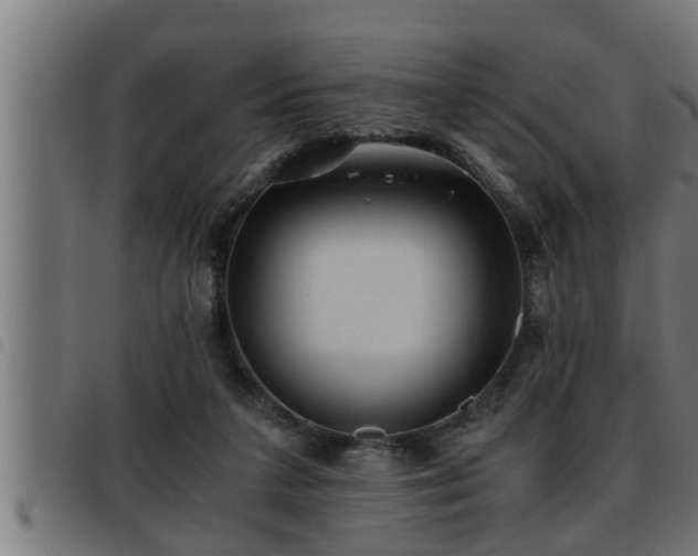 X0000093490211200710121513