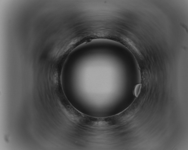 X0000093490212200710121513