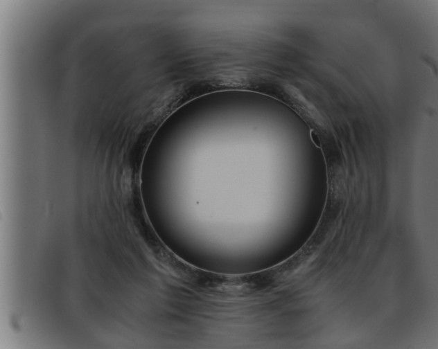 X0000093490213200710121513