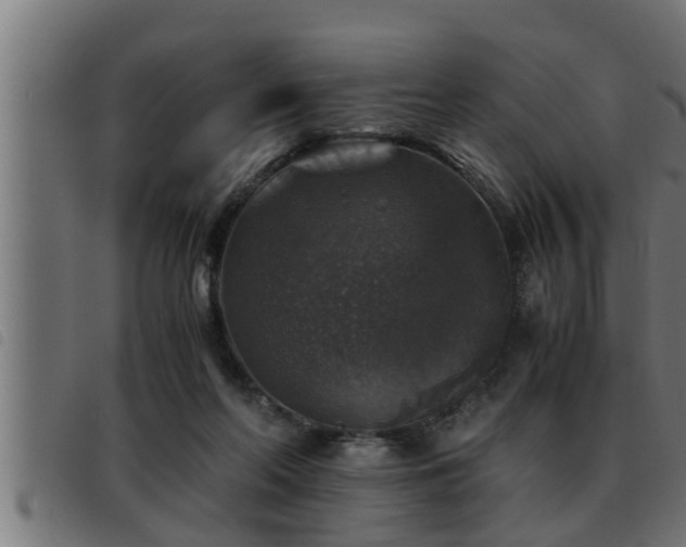 X0000093490214200710121513