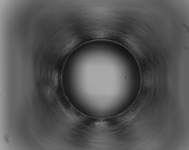 X0000093490216200710121513