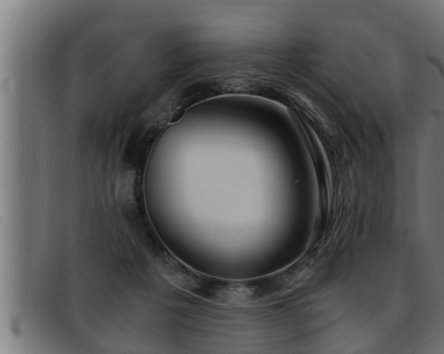 X0000093490217200710121513