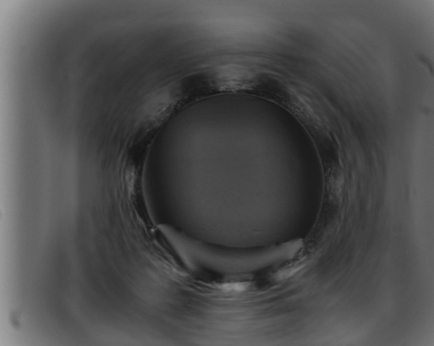 X0000093490219200710121513
