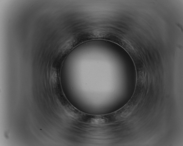X0000093490220200710121513