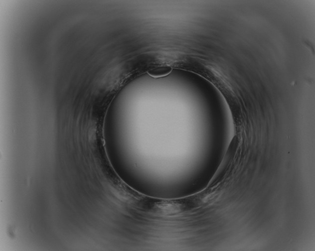 X0000093490221200710121513