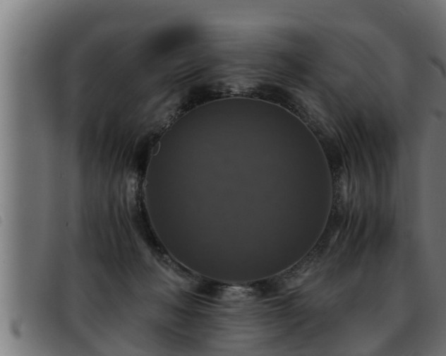 X0000093490222200710121513